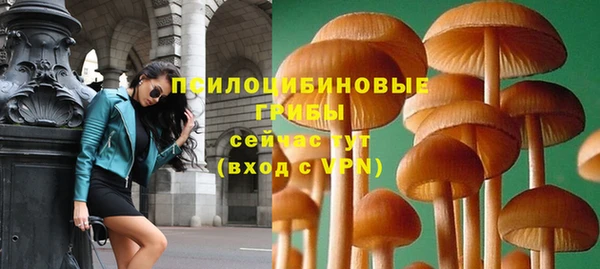 герыч Бронницы
