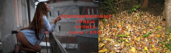 герыч Бронницы