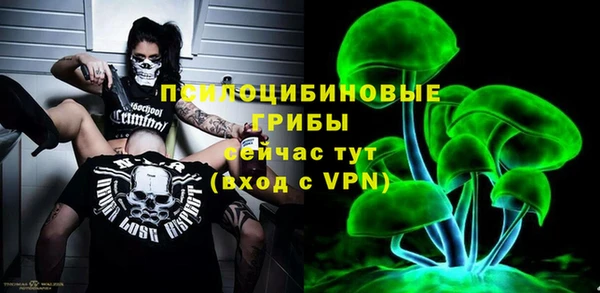 прущая мука Бородино